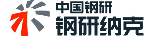 NCS 钢研纳克 LOGO